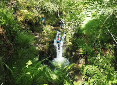 Discover Canyoning in Dollar Glen
