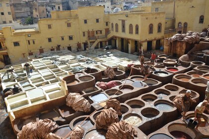 Fès : Visite à pied privée d’une demi-journée de la ville avec un guide