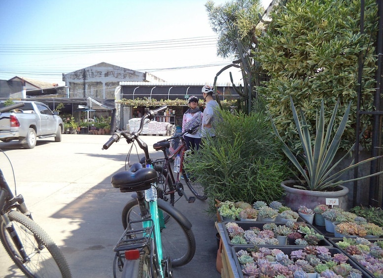 Picture 19 for Activity Chiang Mai City Culture Bicycle Ride
