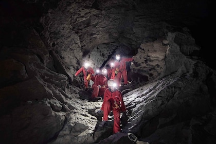 Canmore: Cave Explorer Tour
