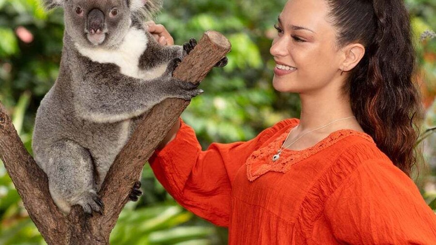 Kuranda Wildlife Experience: Koalas, Birds & Butterflies