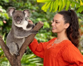 Kuranda Wildlife Experience: Koalas, Birds & Butterflies