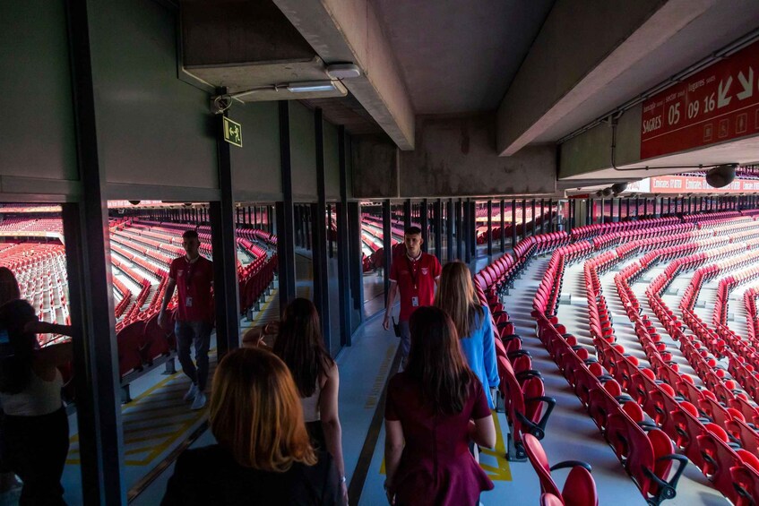 Picture 21 for Activity Lisbon: Customized Luz Stadium and Guided Museum Tour