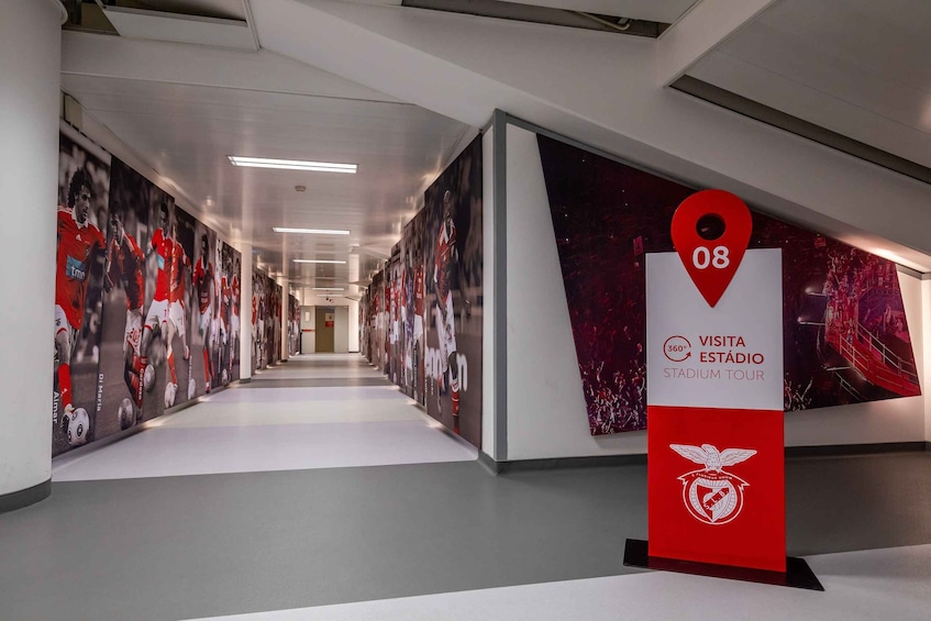 Picture 18 for Activity Lisbon: Customized Luz Stadium and Guided Museum Tour