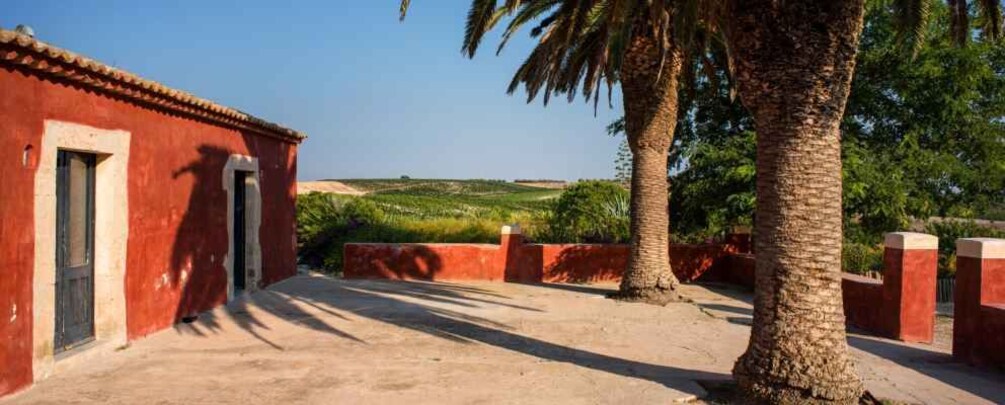 Picture 1 for Activity Wine Tasting and Typical Tastings in the Val di Noto