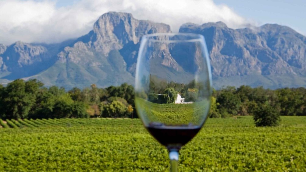 From Cape Town: Private Cape Winelands Tour