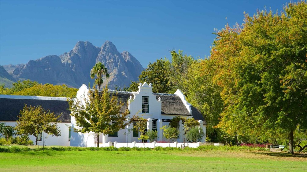 Picture 4 for Activity From Cape Town: Private Cape Winelands Tour