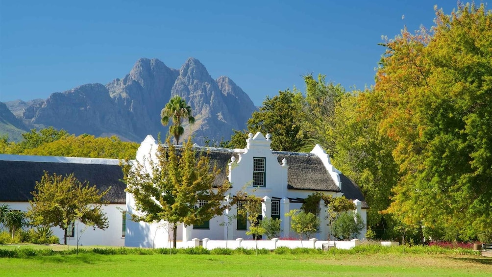 Picture 4 for Activity From Cape Town: Private Cape Winelands Tour