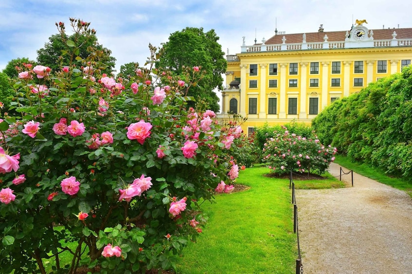 Picture 5 for Activity Vienna: Skip-the-Line Schonbrunn Palace Private Tour