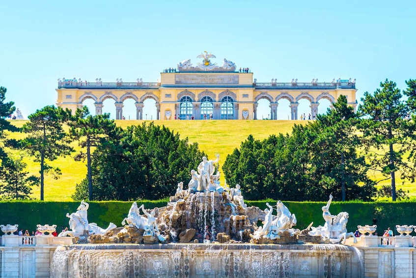 Picture 4 for Activity Vienna: Skip-the-Line Schonbrunn Palace Private Tour