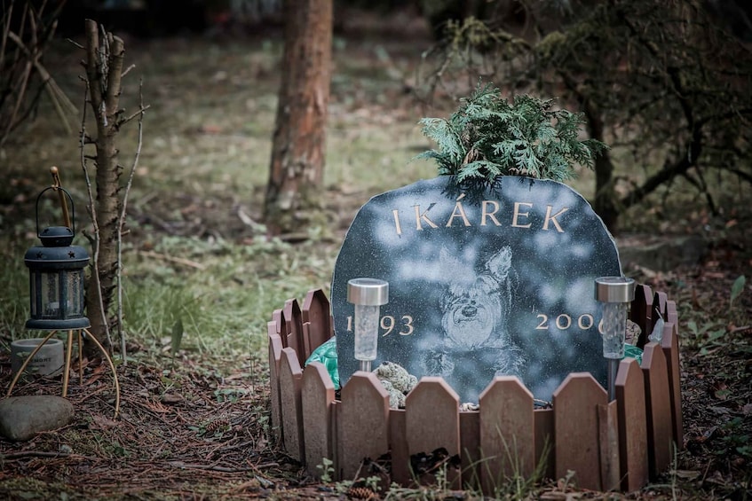 Picture 13 for Activity Prague: Psychiatric Hospital and Abandoned Cemetery Tour