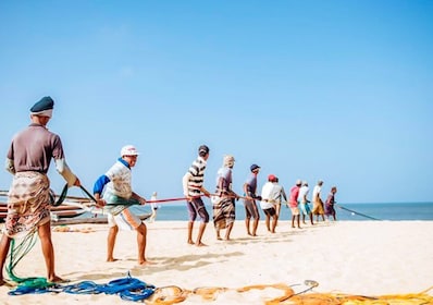 Negombo: Fishing Village Highlights Tour in a Tuk-Tuk