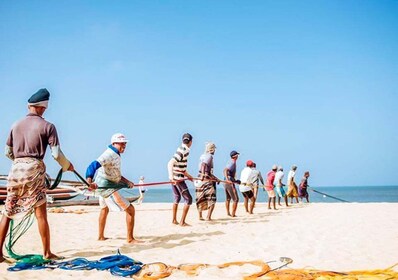 Negombo: Fishing Village Highlights Private Tour by Tuk Tuk