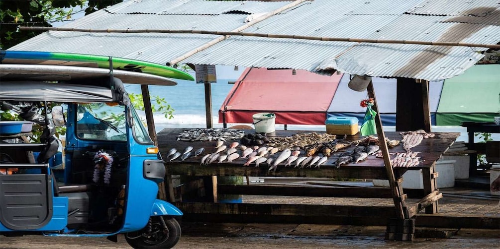 Picture 11 for Activity Negombo: Fishing Village Highlights Private Tour by Tuk Tuk