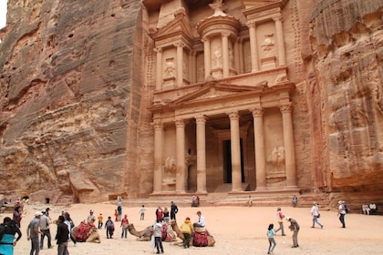 Amman : Visite privée d'une journée à Petra avec prise en charge à l'hôtel