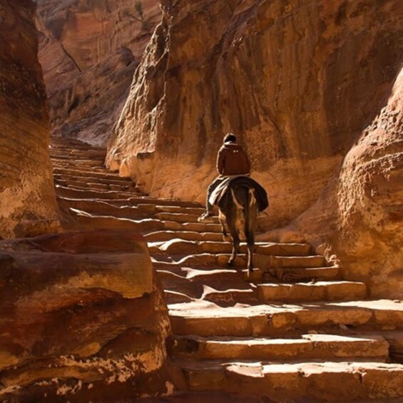 Picture 4 for Activity Amman: Full-Day Private Tour in Petra with Hotel Pick-Up