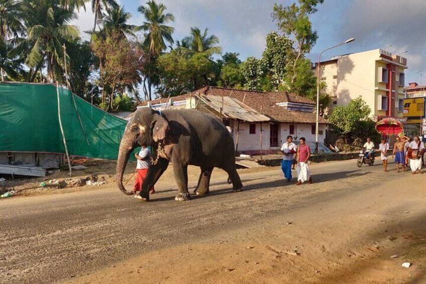 Immersive Bhubaneswar walking tour with professional guide