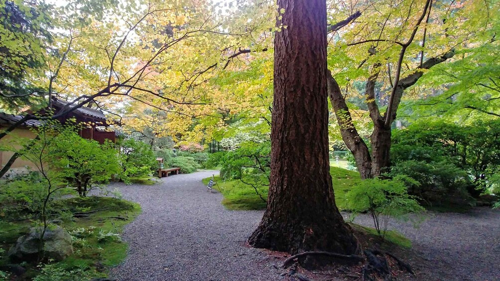 Picture 1 for Activity Vancouver: Botanical Gardens Tour and Museum of Anthropology