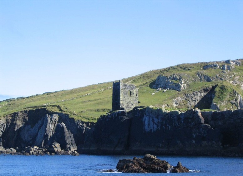 Picture 9 for Activity County Cork: Whale & Dolphin Watching Boat Trip