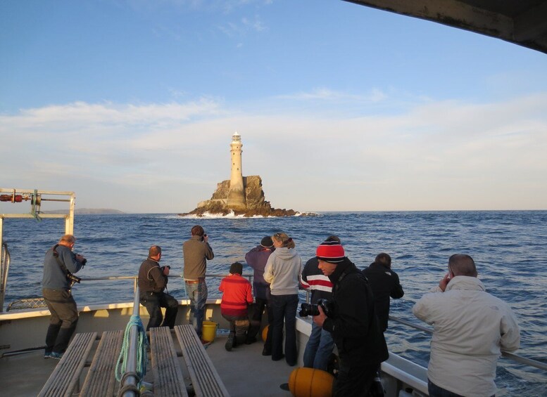 Picture 4 for Activity County Cork: Whale & Dolphin Watching Boat Trip