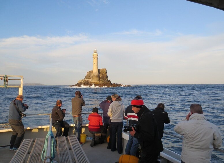 Picture 4 for Activity County Cork: Whale & Dolphin Watching Boat Trip