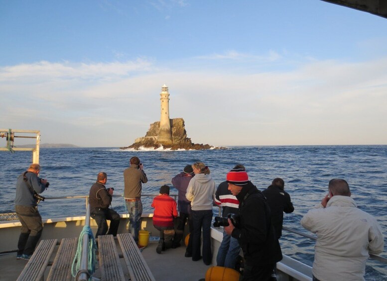 Picture 5 for Activity County Cork: Whale & Dolphin Watching Boat Trip