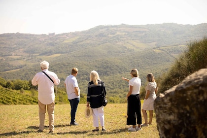 Montalcino: Geführte Weinkellertour und Weinverkostung