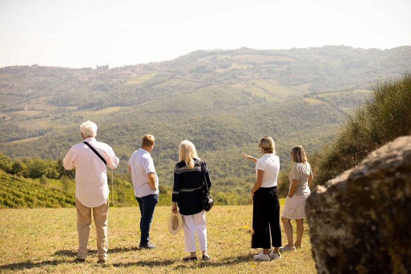 Picture 1 for Activity Montalcino: Guided Winery Tour and Wine Tasting