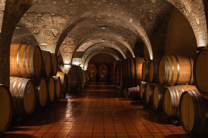 Picture 10 for Activity Montalcino: Guided Winery Tour and Wine Tasting