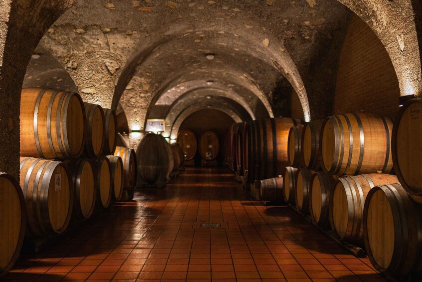 Picture 10 for Activity Montalcino: Guided Winery Tour and Wine Tasting