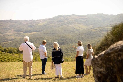 Montalcino: Geführte Weinkellertour und Weinverkostung