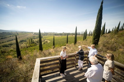 Montalcino: Rondleiding door de wijnmakerij en wijnproeverij