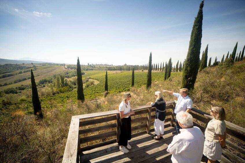 Picture 2 for Activity Montalcino: Guided Winery Tour and Wine Tasting