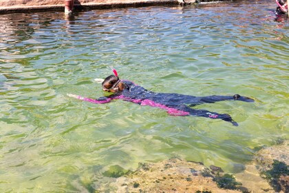 Tiket Masuk Irukandji & Snorkeling Hiu Karang (12+)