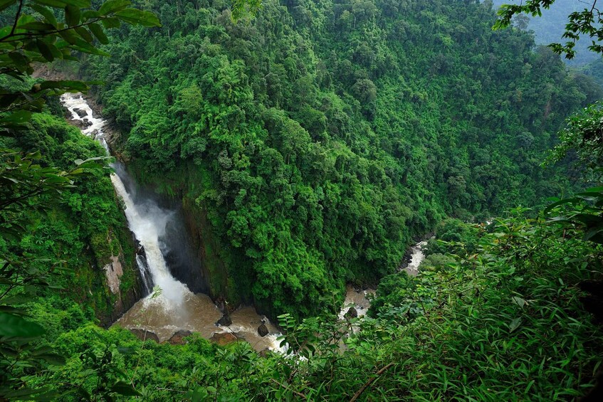 Picture 11 for Activity Bangkok: Khao Yai National Park with Horseback Ride Day Trip