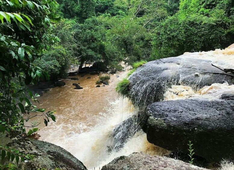 Picture 14 for Activity Bangkok: Khao Yai National Park with Horseback Ride Day Trip