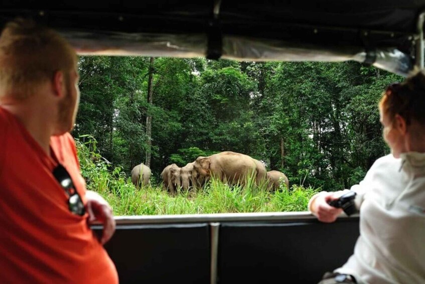 Picture 20 for Activity Bangkok: Khao Yai National Park with Horseback Ride Day Trip