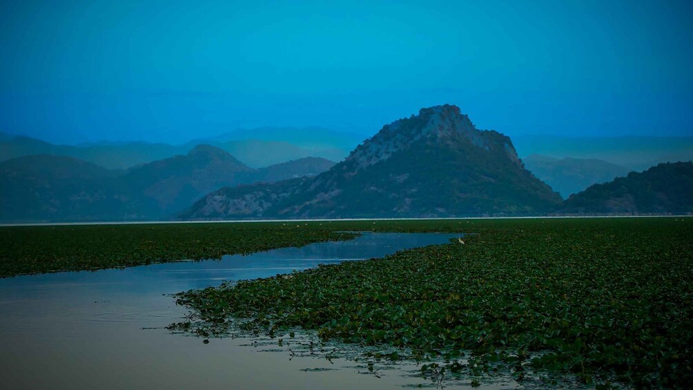 Picture 6 for Activity Virpazar: Skadar Lake PRIVATE Boat Tour to KOM MONASTERY