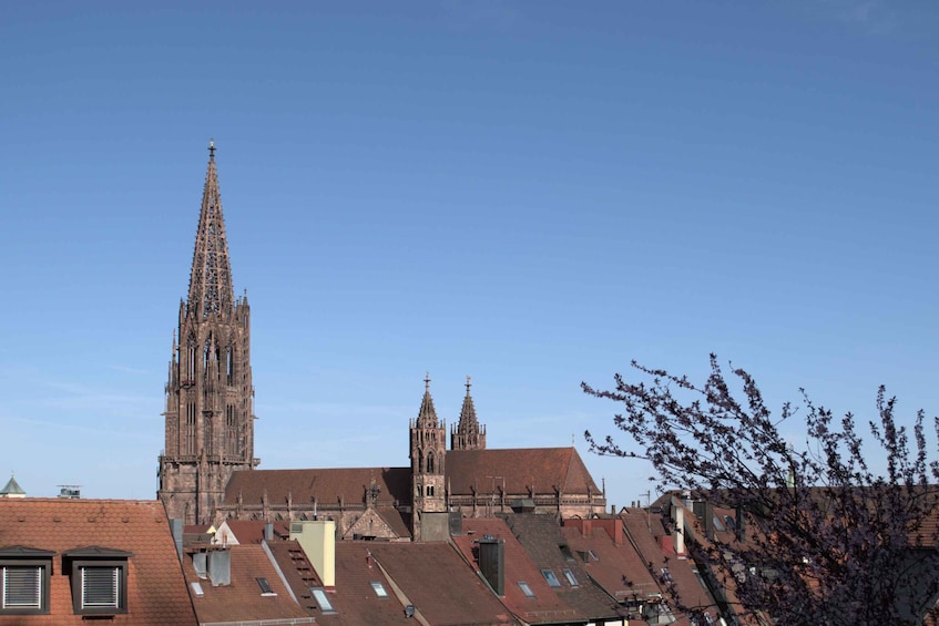 Picture 7 for Activity Freiburg: Historic City Center Walking Tour