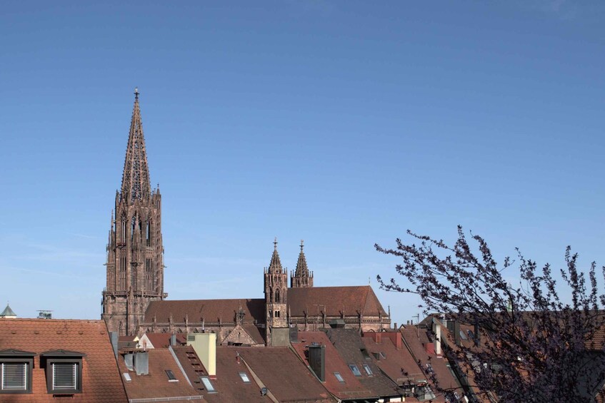 Picture 7 for Activity Freiburg: Historic City Center Walking Tour