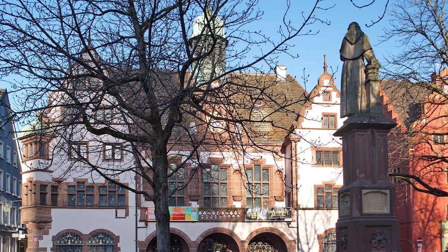 Freiburg: Historic City Center Walking Tour