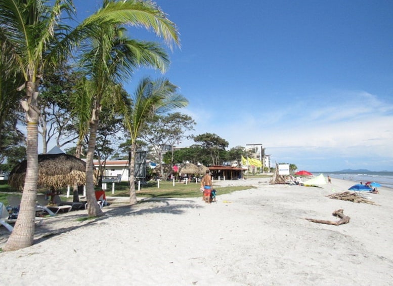 Picture 3 for Activity Panama City: Surf Lesson and Beach Day in Playa Caracol