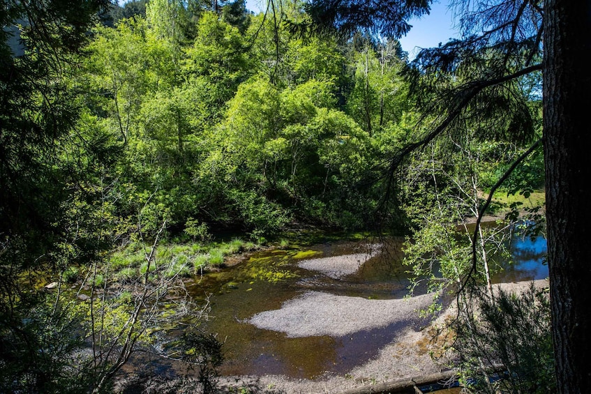 Picture 6 for Activity Mendocino County: Railbiking Tour Along the Noyo River