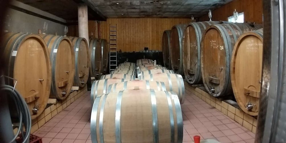 Alsace: Private Wine Tour
