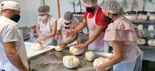 Ferreries: Quesería y Degustación de Productos Frescos de la Granja