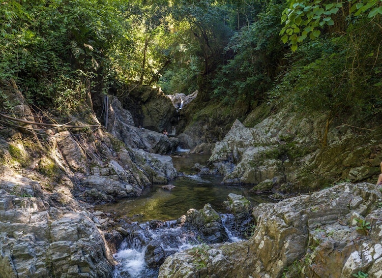 Picture 5 for Activity Santa Marta: Tayrona Park Private Hike to Cabo San Juan