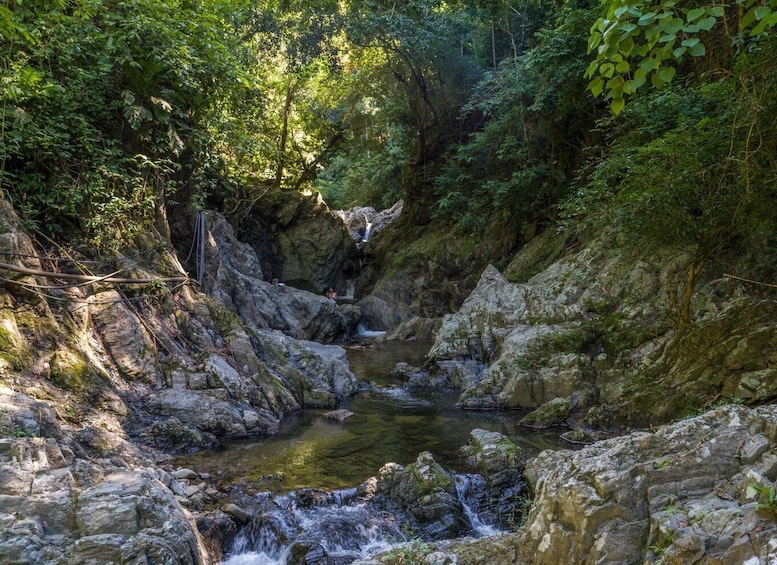 Picture 5 for Activity Santa Marta: Tayrona Park Private Hike to Cabo San Juan