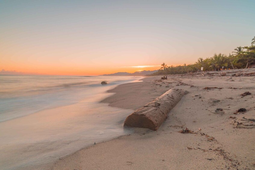 Picture 2 for Activity Santa Marta: Tayrona Park Private Hike to Cabo San Juan