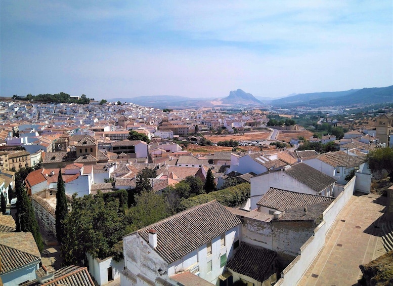Picture 8 for Activity Málaga: Antequera Guided Walking Tour
