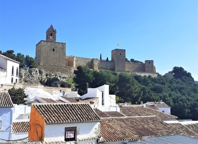 Picture 3 for Activity Málaga: Antequera Guided Walking Tour